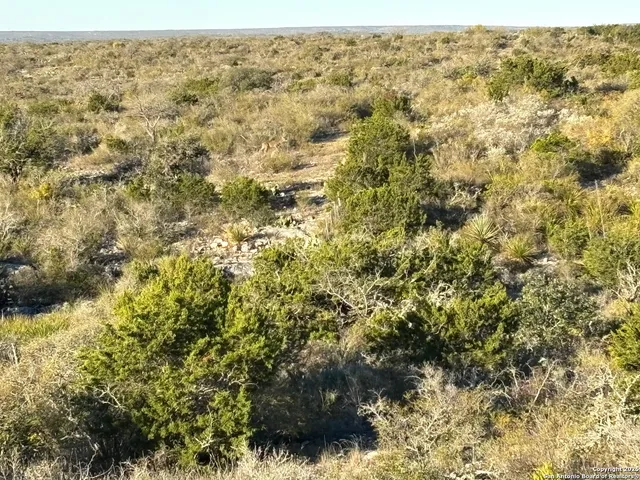 a view of a city and a mountain
