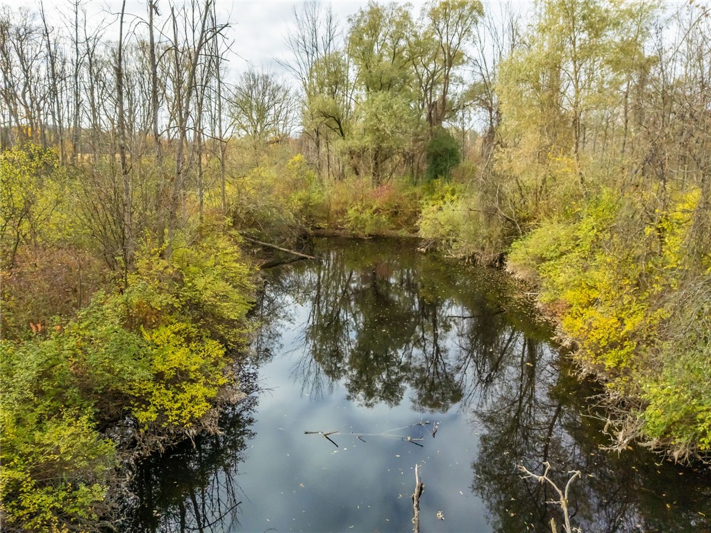 8009 Highway 251 Victor, NY 14564 - Photo 11 of 25