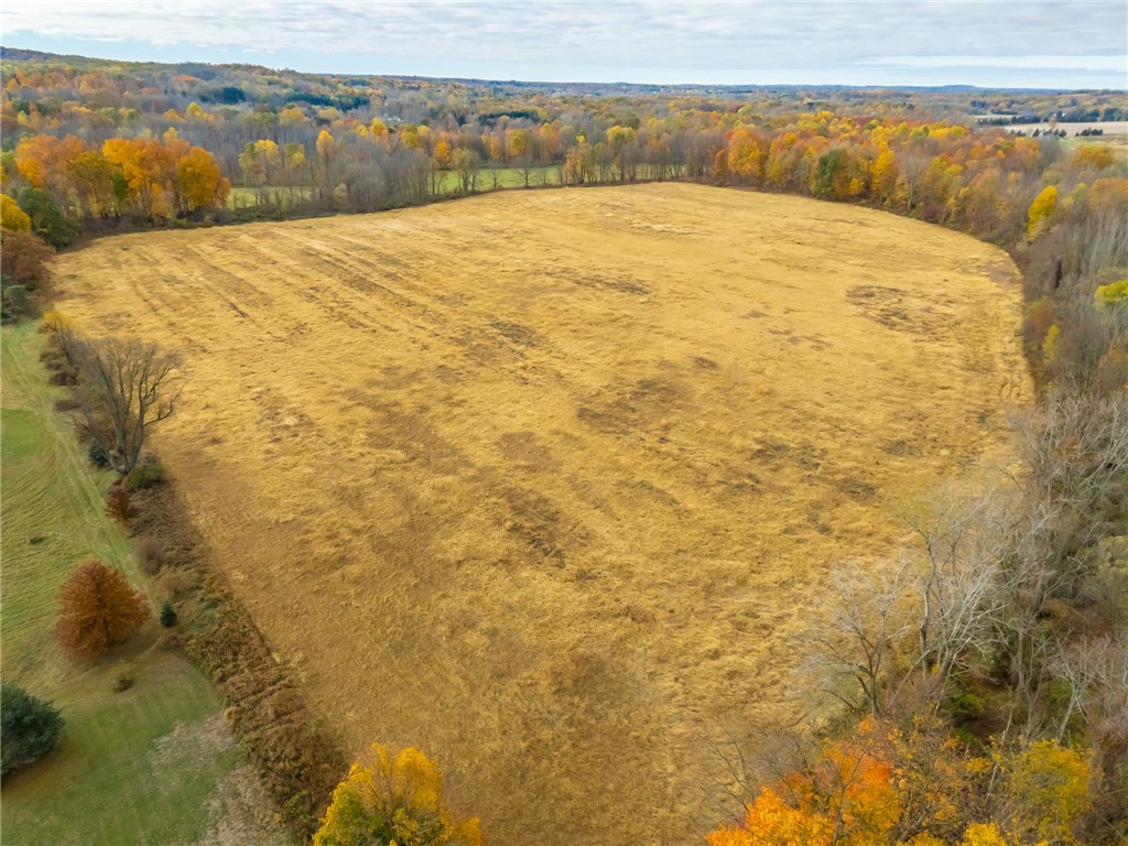 8009 Highway 251 Victor, NY 14564 - Photo 12 of 25