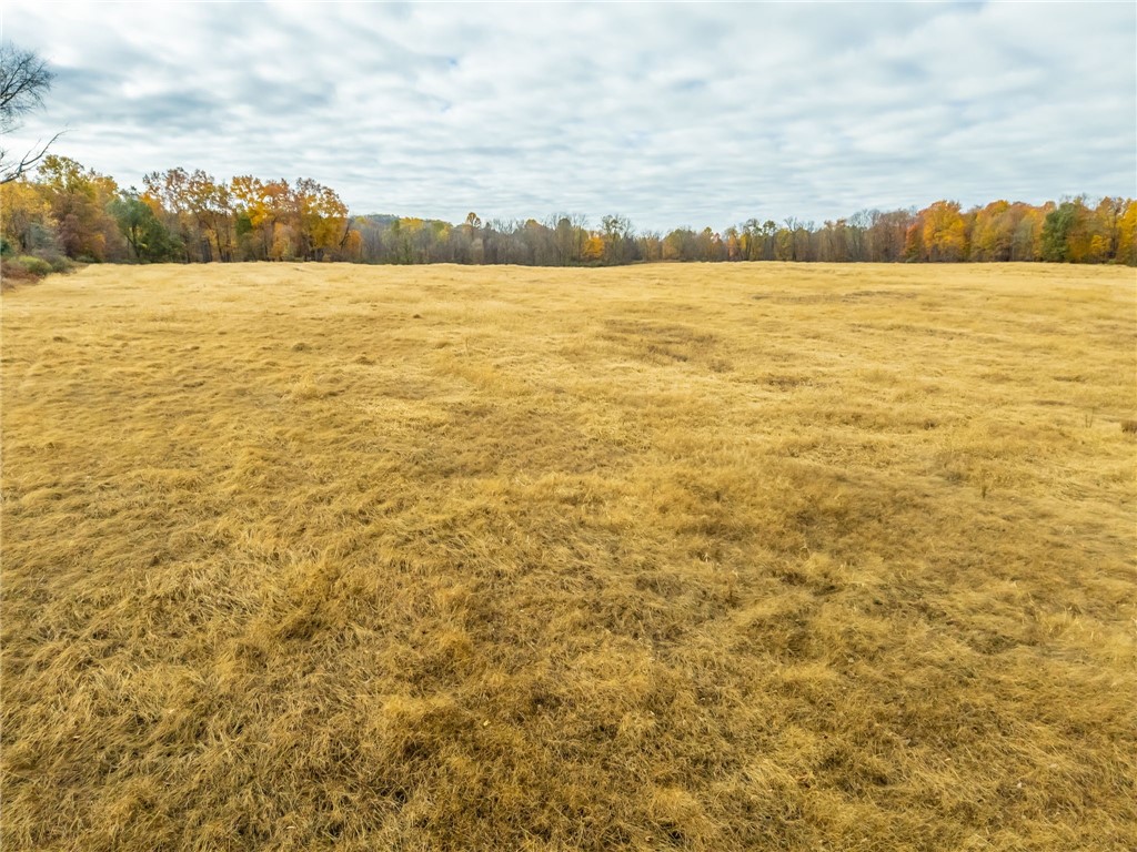 8009 Highway 251 Victor, NY 14564 - Photo 14 of 25