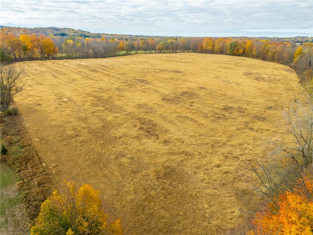 8009 Highway 251 Victor, NY 14564 - Photo 16 of 25