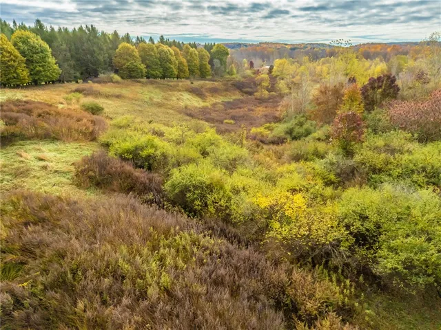 $1,400,000 | 8009 Highway 251, Victor, NY 14564