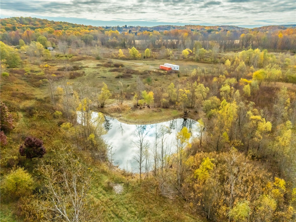 8009 Highway 251 Victor, NY 14564 - Photo 23 of 25