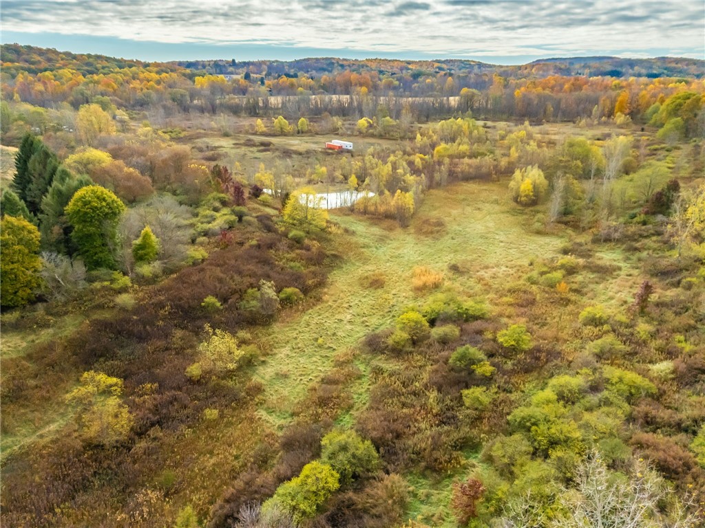 8009 Highway 251 Victor, NY 14564 - Photo 25 of 25