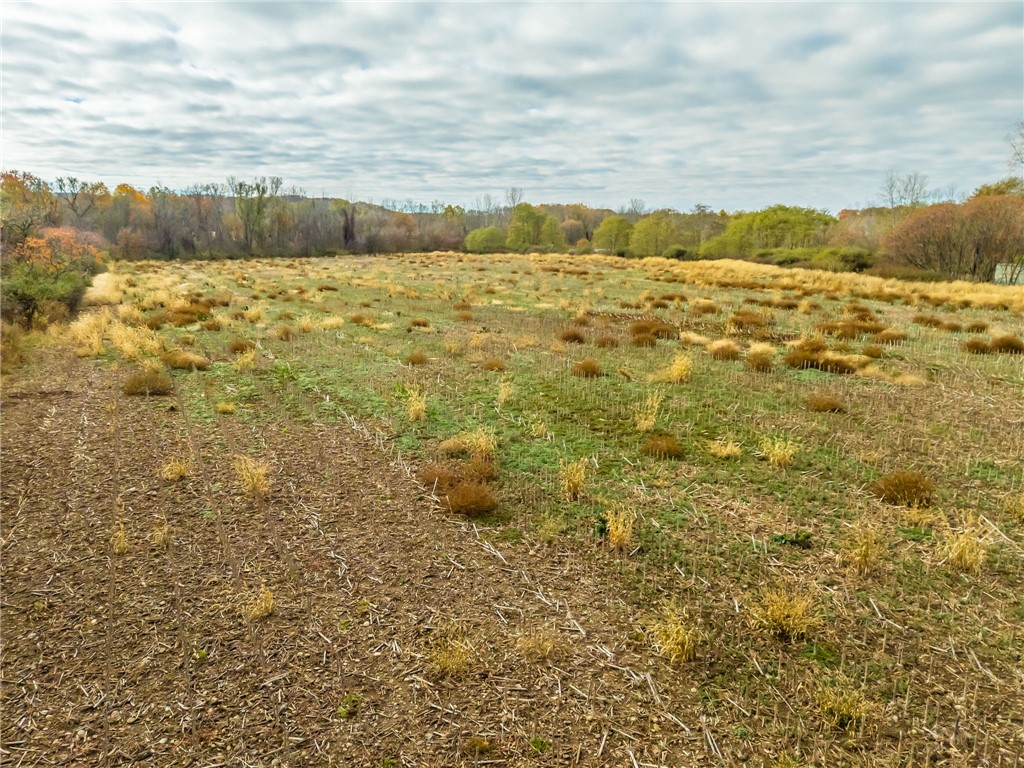 8009 Highway 251 Victor, NY 14564 - Photo 5 of 25