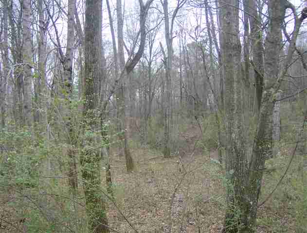 Lots 5-6&7 Mayfield School Road Belton, SC 29627 - Photo 1 of 2 Gallery Image 1