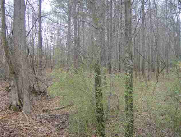 Lots 5-6&7 Mayfield School Road Belton, SC 29627 - Photo 2 of 2 Gallery Image 2