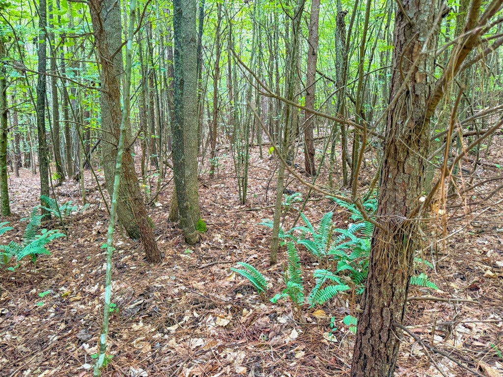 Mountain Hall Road Crewe, VA 23930 - Photo 17 of 24 Gallery Image 17