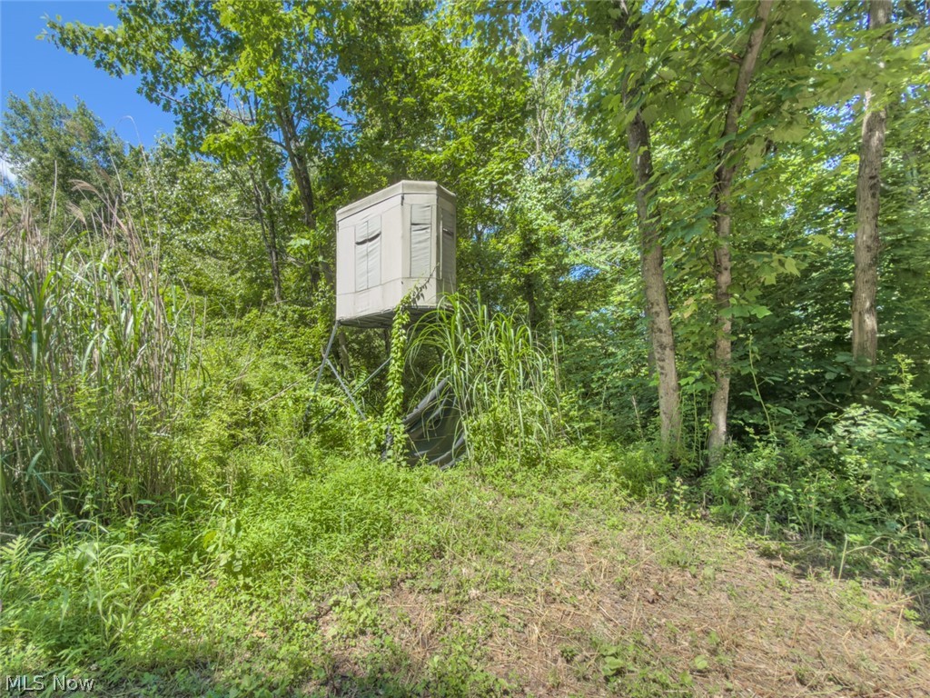 6985 Brush Run Road Cambridge, OH 43725 - Photo 31 of 50