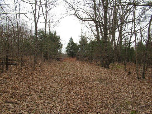 1234 North Dividing Ridge Road Sadieville, KY 40370 - Photo 2 of 16 Listing Photo