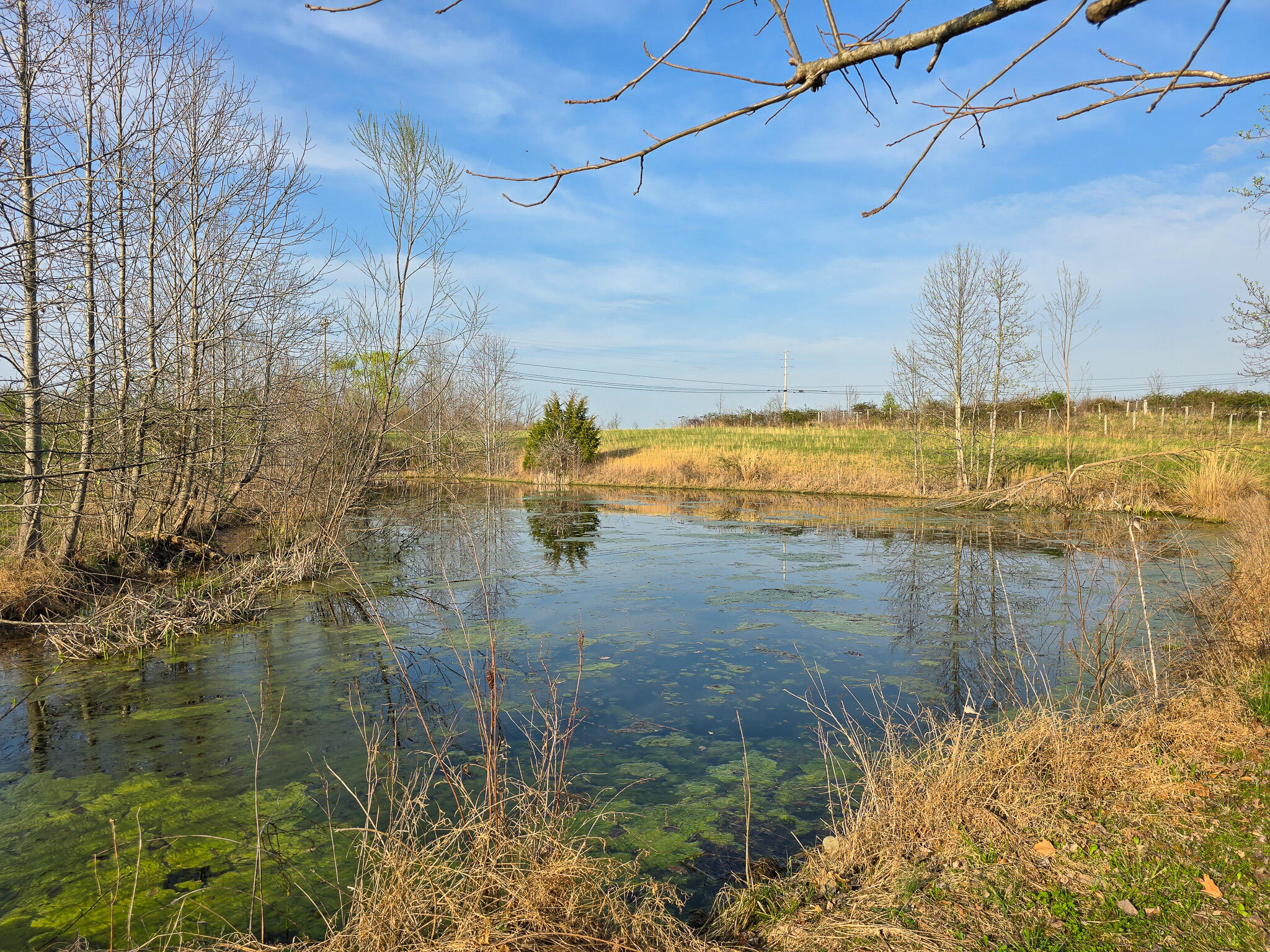 2060 Dry Ridge Road Liberty, KY 42539 - Photo 85 of 87 20250402_182033