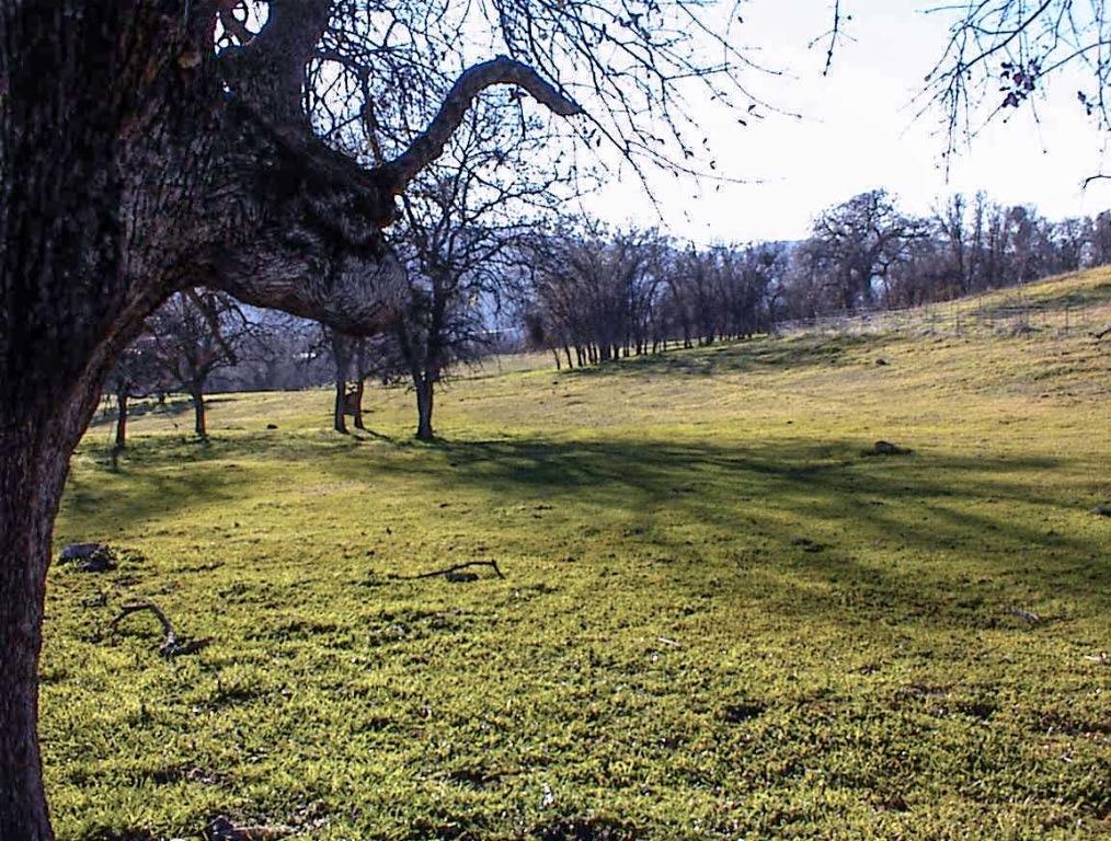 39950 Millwood Road Dunlap, CA 93621 - Photo 71 of 72 Gallery Image 71