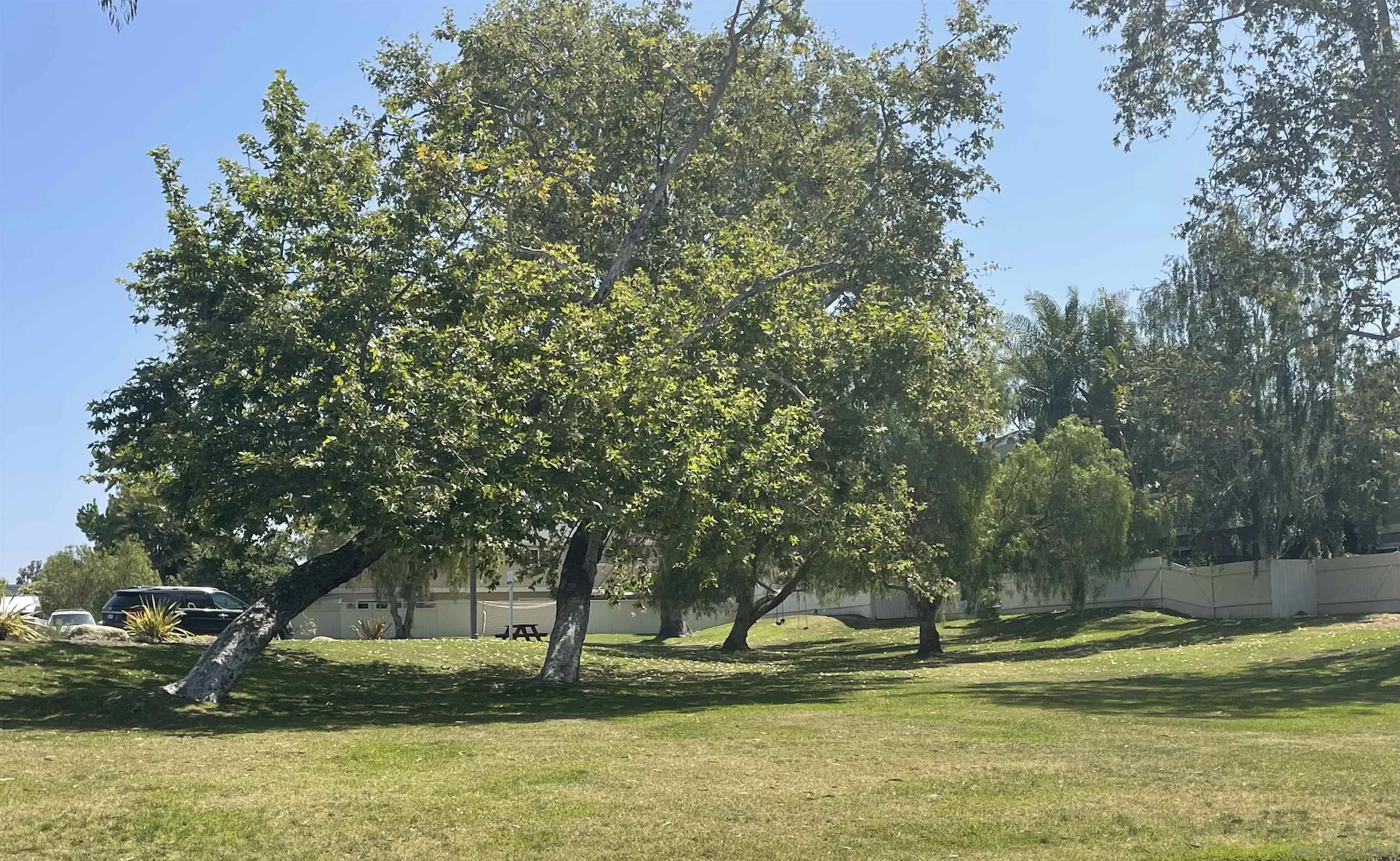 242 Village Green Road Encinitas, CA 92024 - Photo 12 of 16 a view of a yard with an outdoor space