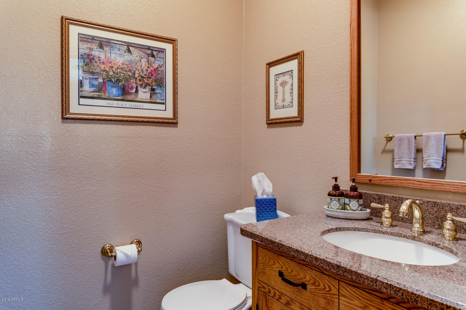 167 North Riata Street Gilbert, AZ 85234 - Photo 15 of 83 14_167_N_Riata_St14_mls