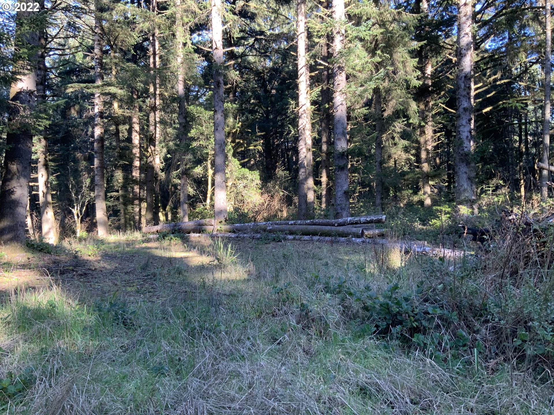 Mound Way Gold Beach, OR 97444 - Photo 4 of 15 a view of yard