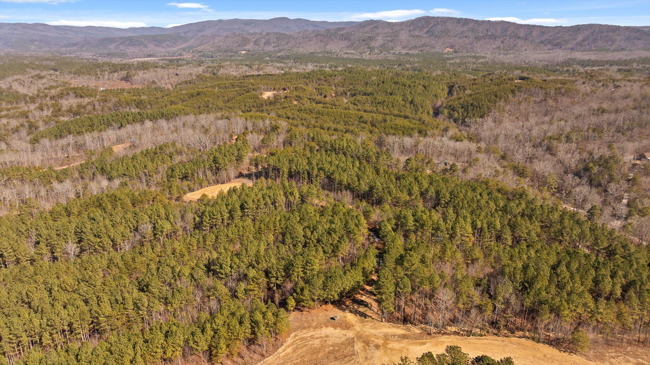 11 Conniston Road Chatsworth, GA 30705 - Photo 17 of 23 15-Tract 11-15