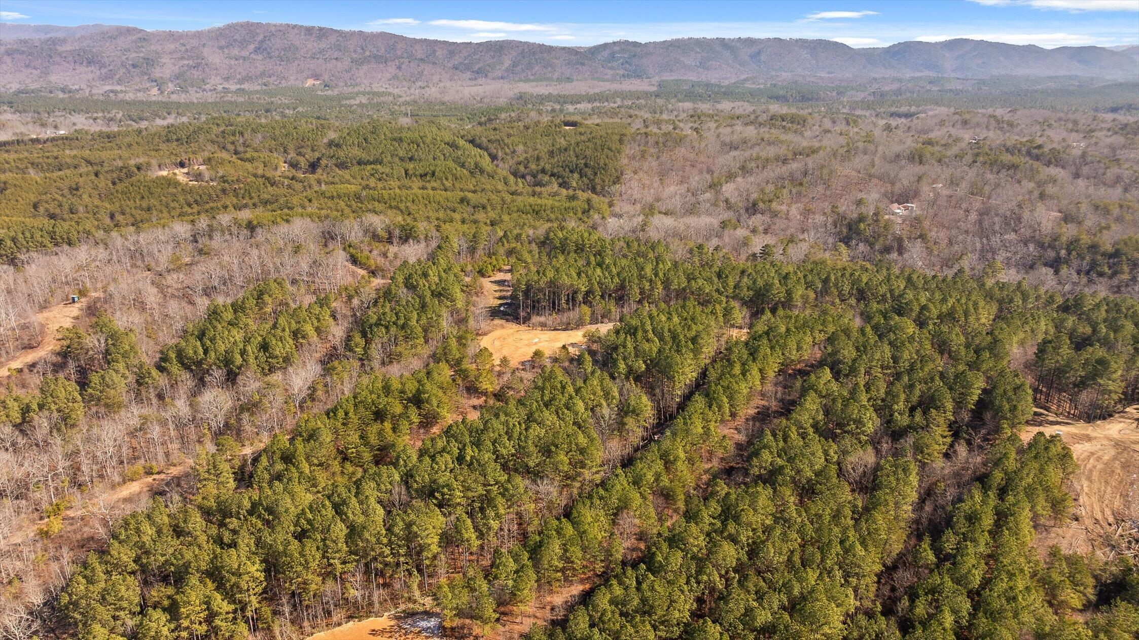 11 Conniston Road Chatsworth, GA 30705 - Photo 18 of 23 16-Tract 11-16