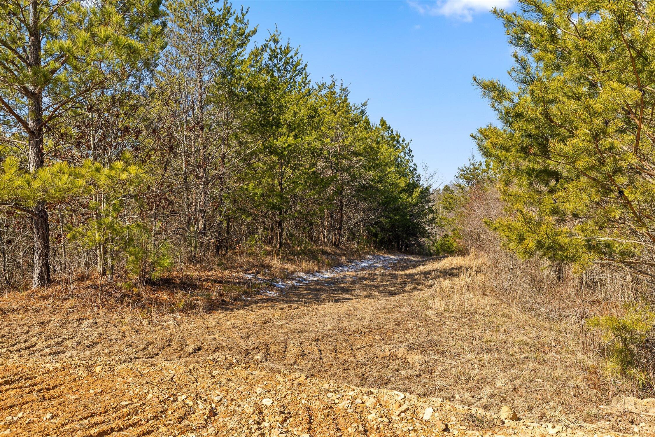 11 Conniston Road Chatsworth, GA 30705 - Photo 7 of 23 02-Tract 11-2