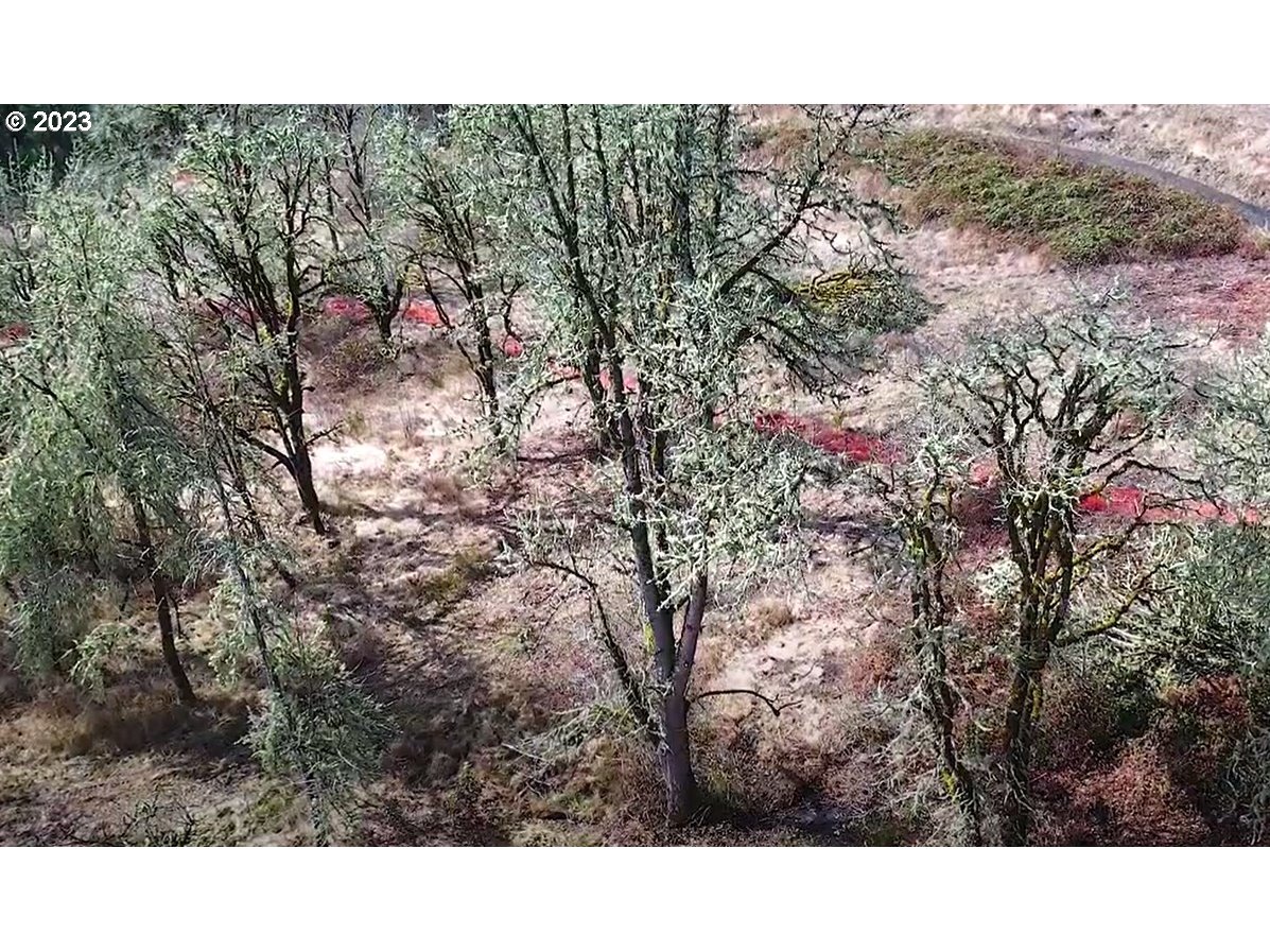 3893 Northwest Goldfinch Dr Unit 12  