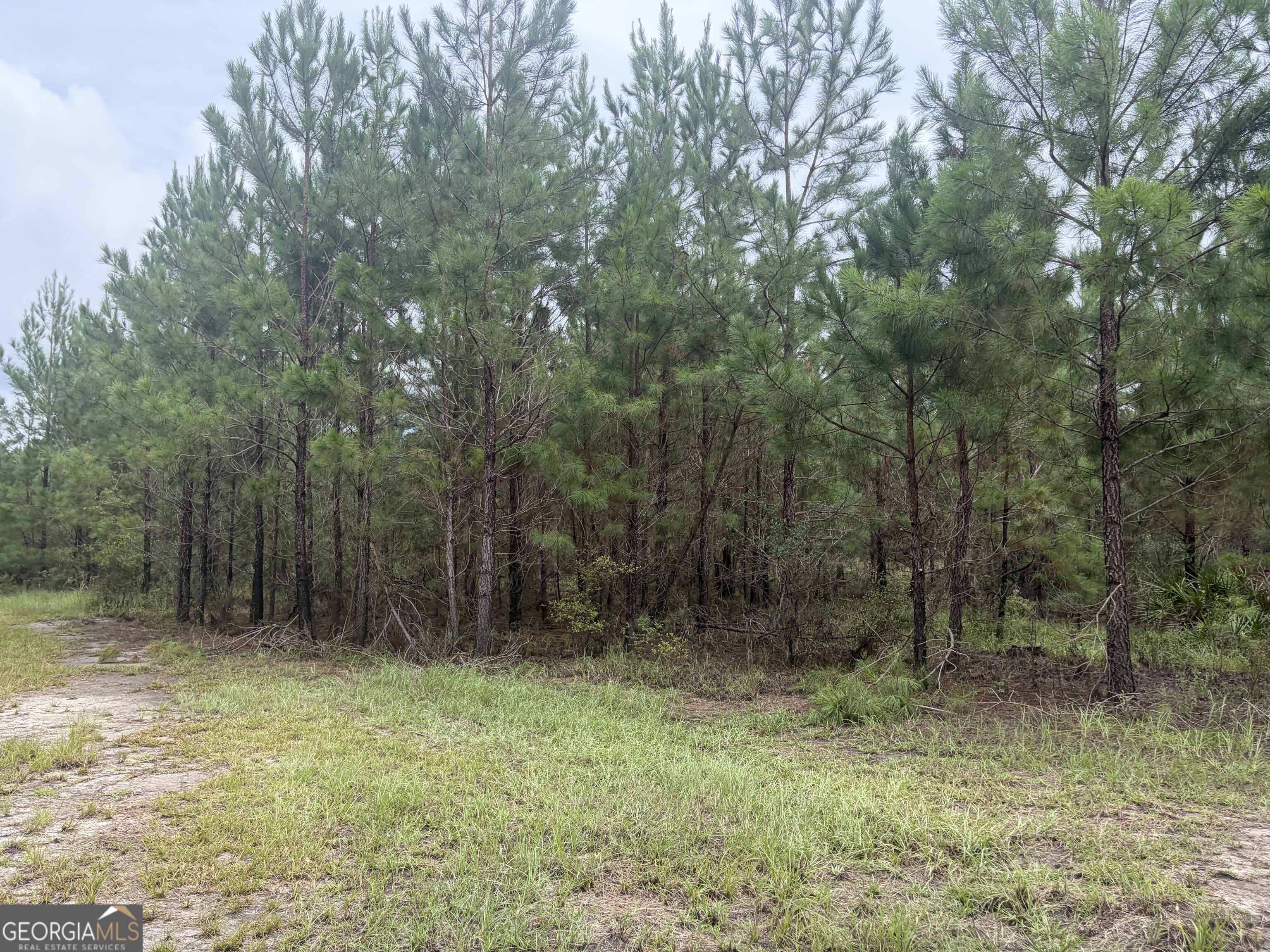 0 Jamestown Road Waycross, GA 31503 - Photo 77 of 92 Gallery Image 77