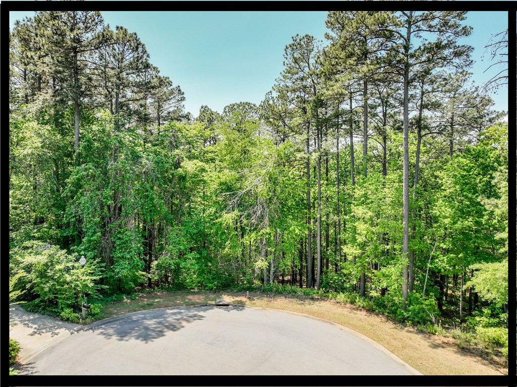 806 Bright Leaf Court Seneca, SC 29672 - Photo 1 of 32