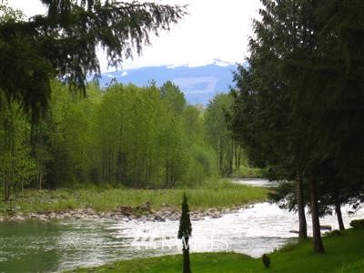12401 Reiner Road Monroe, WA 98272 - Photo 1 of 1 a view of lake from yard