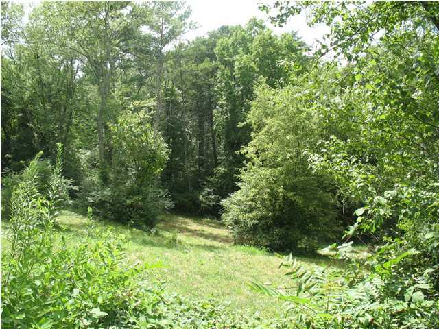 4216 Gann Store Road, Unit LOT 6 Hixson, TN 37343 - Photo 4 of 9 Additional Photo