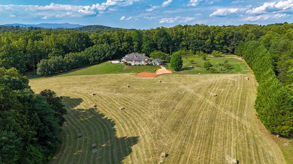464 Black Jack Road Stuart, VA 24171 - Photo 59 of 66 Gallery Image 59