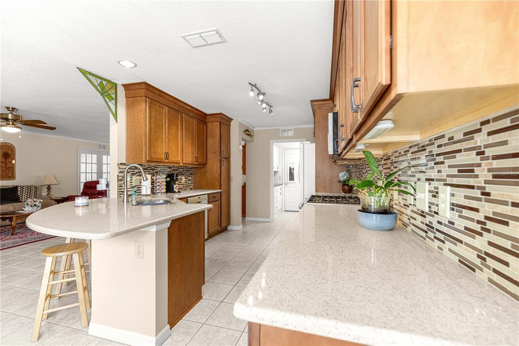 9694 Southwest 89th Loop Ocala, FL 34481 - Photo 26 of 58 Gallery Image 26