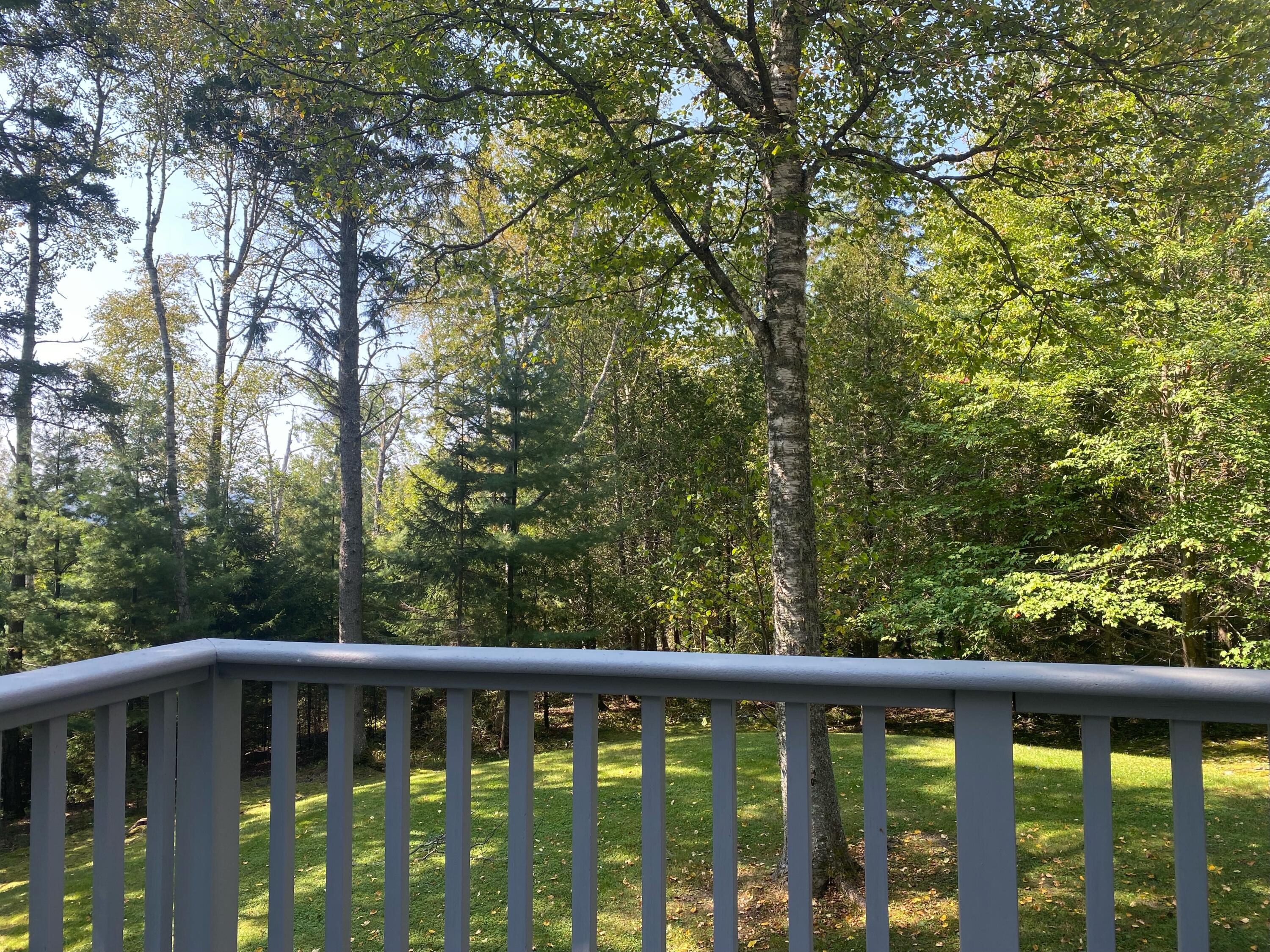 41 Hyatt Road Rangeley, ME 04970 - Photo 5 of 46 IMG_3481