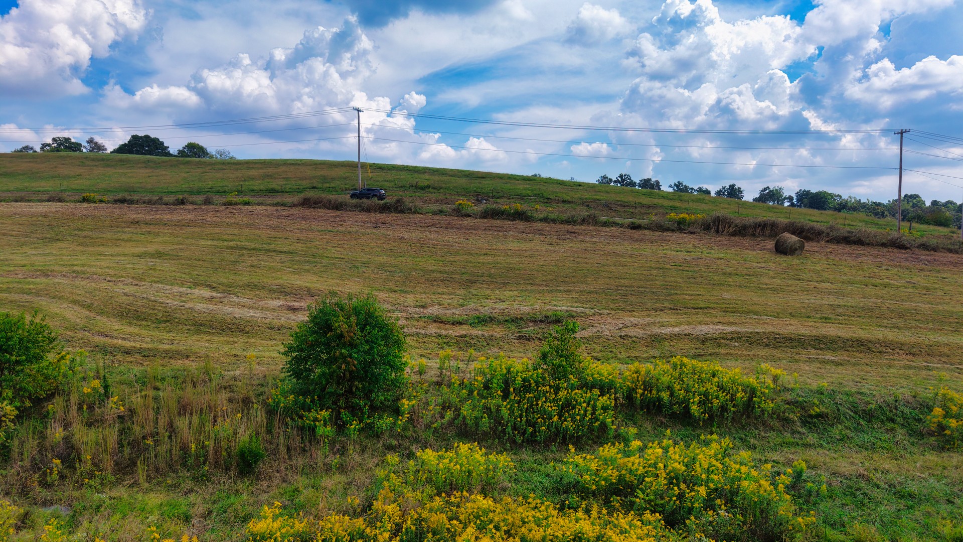 0 Mitchell Ridge Road Jonesborough, TN 37659 - Photo 29 of 82 Gallery Image 29