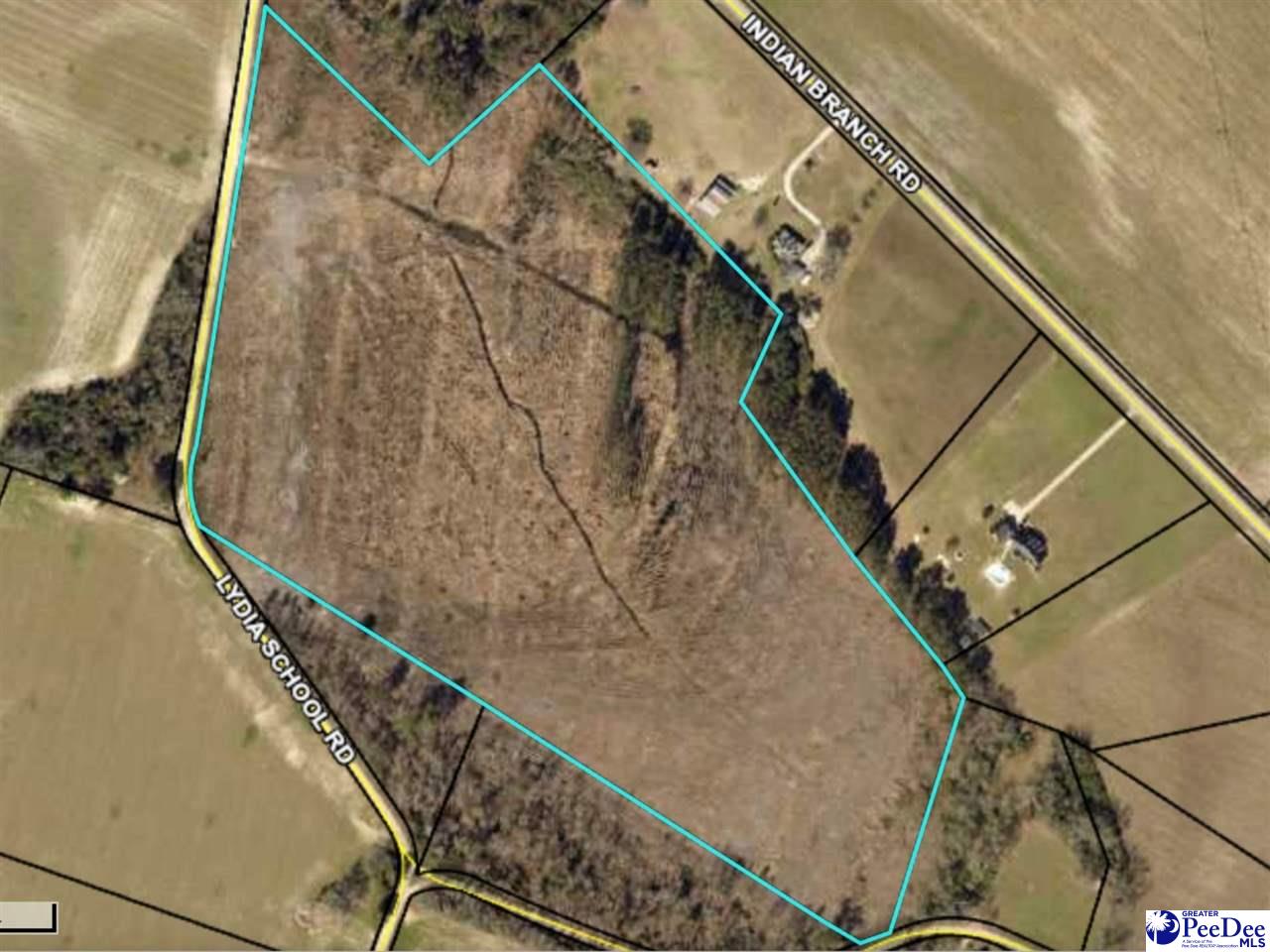 Tbd Lydia School Road Lamar, SC 29069 - Photo 1 of 1 Gallery Image 1