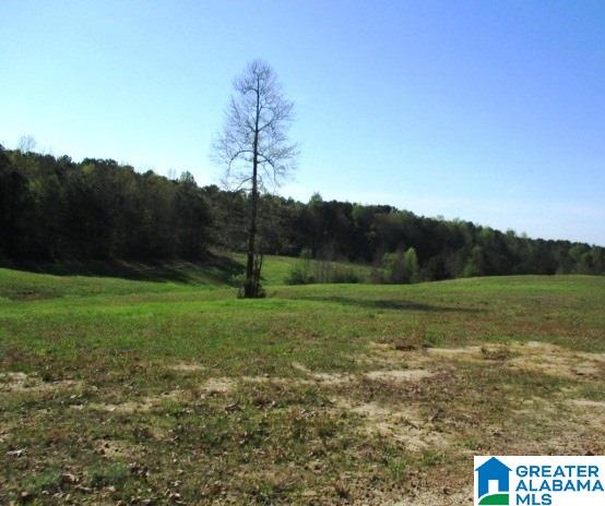6971 Highway 24 Oneonta, AL 35121 - Photo 31 of 45