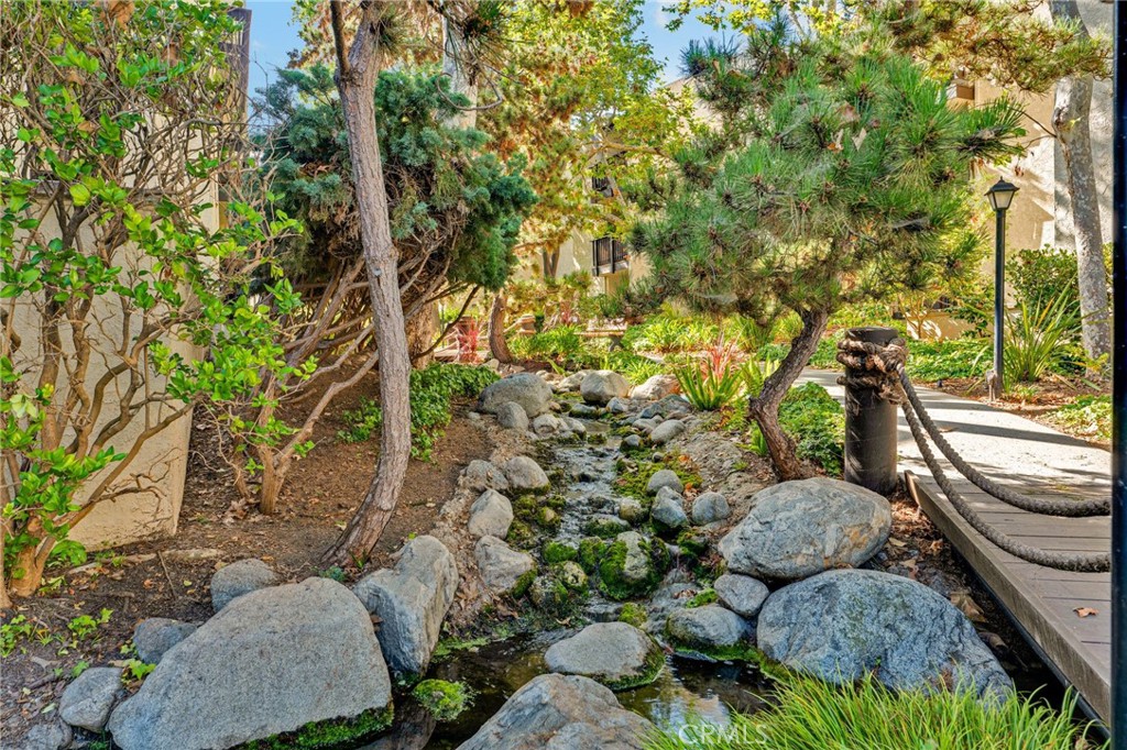 11108 Summertime Lane Culver City, CA 90230 - Photo 12 of 35 a view of a garden with plants and large trees