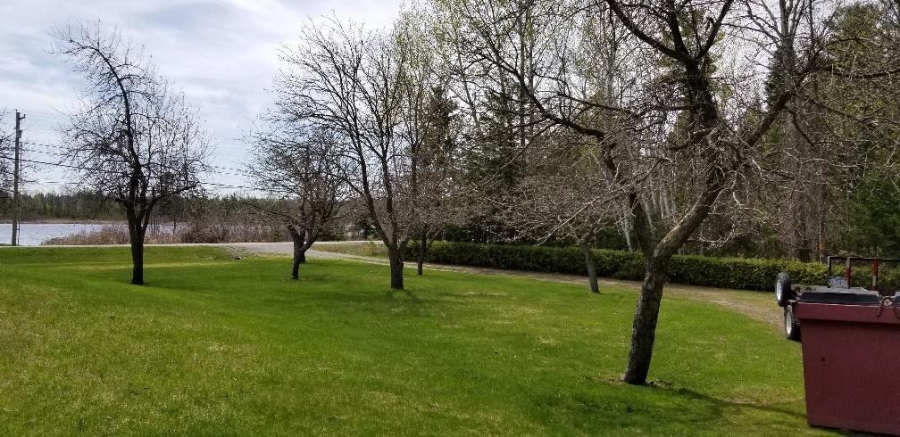 3814 Long Rapids Road Alpena, MI 49707 - Photo 17 of 26 Gallery Image 17