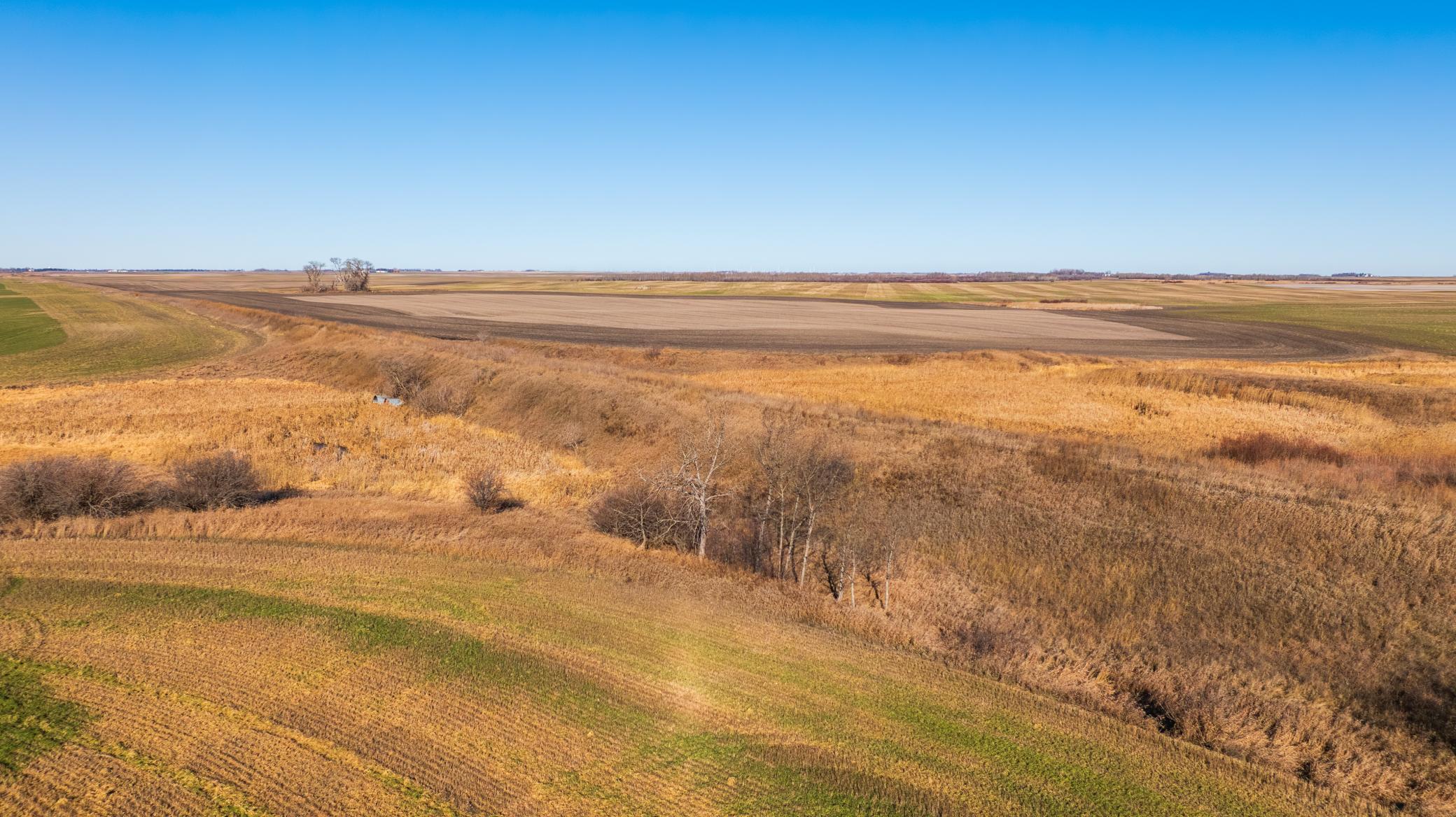 53 1/2 Avenue Perth, ND 58363 - Photo 13 of 16