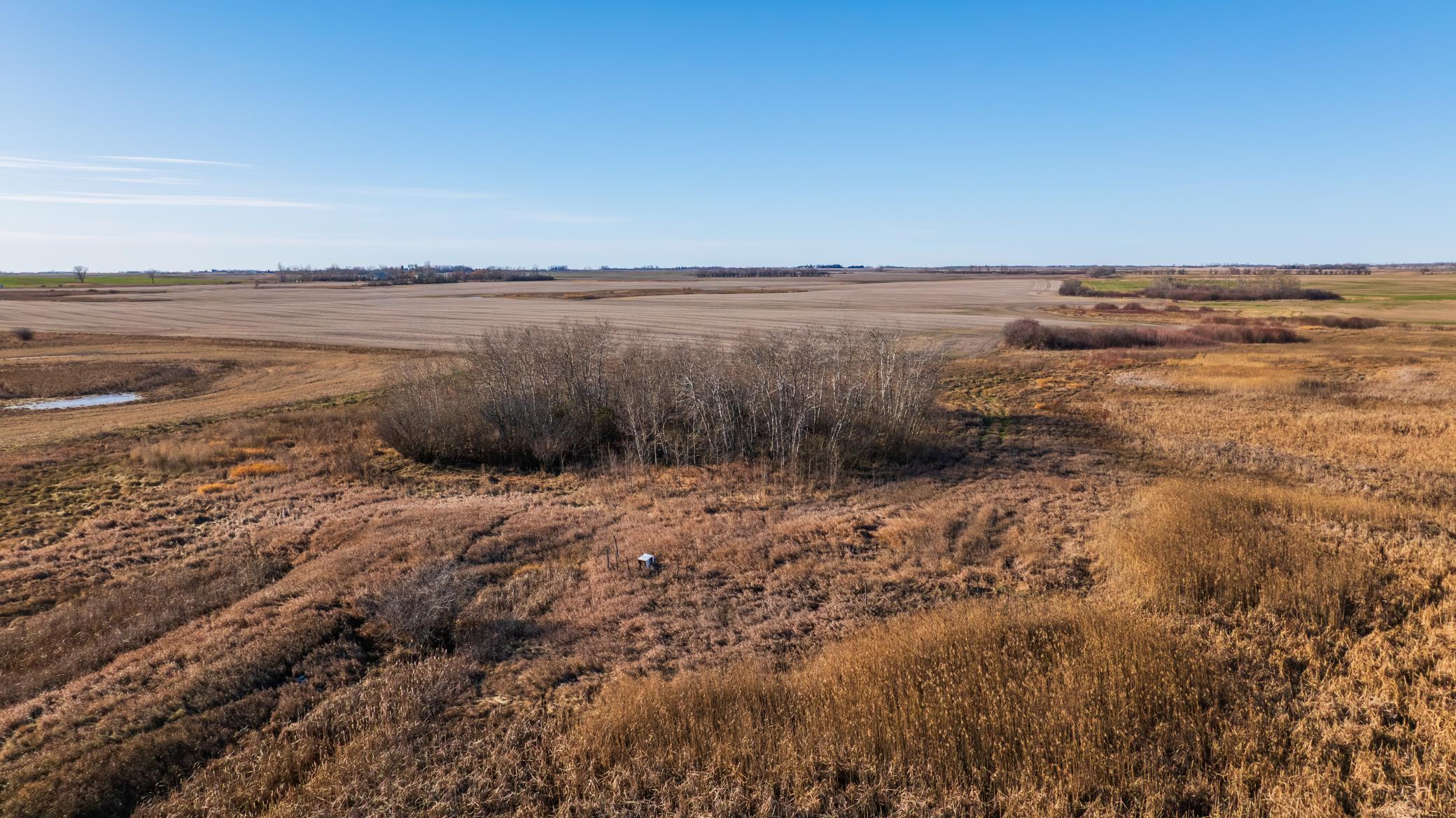 53 1/2 Avenue Perth, ND 58363 - Photo 6 of 16
