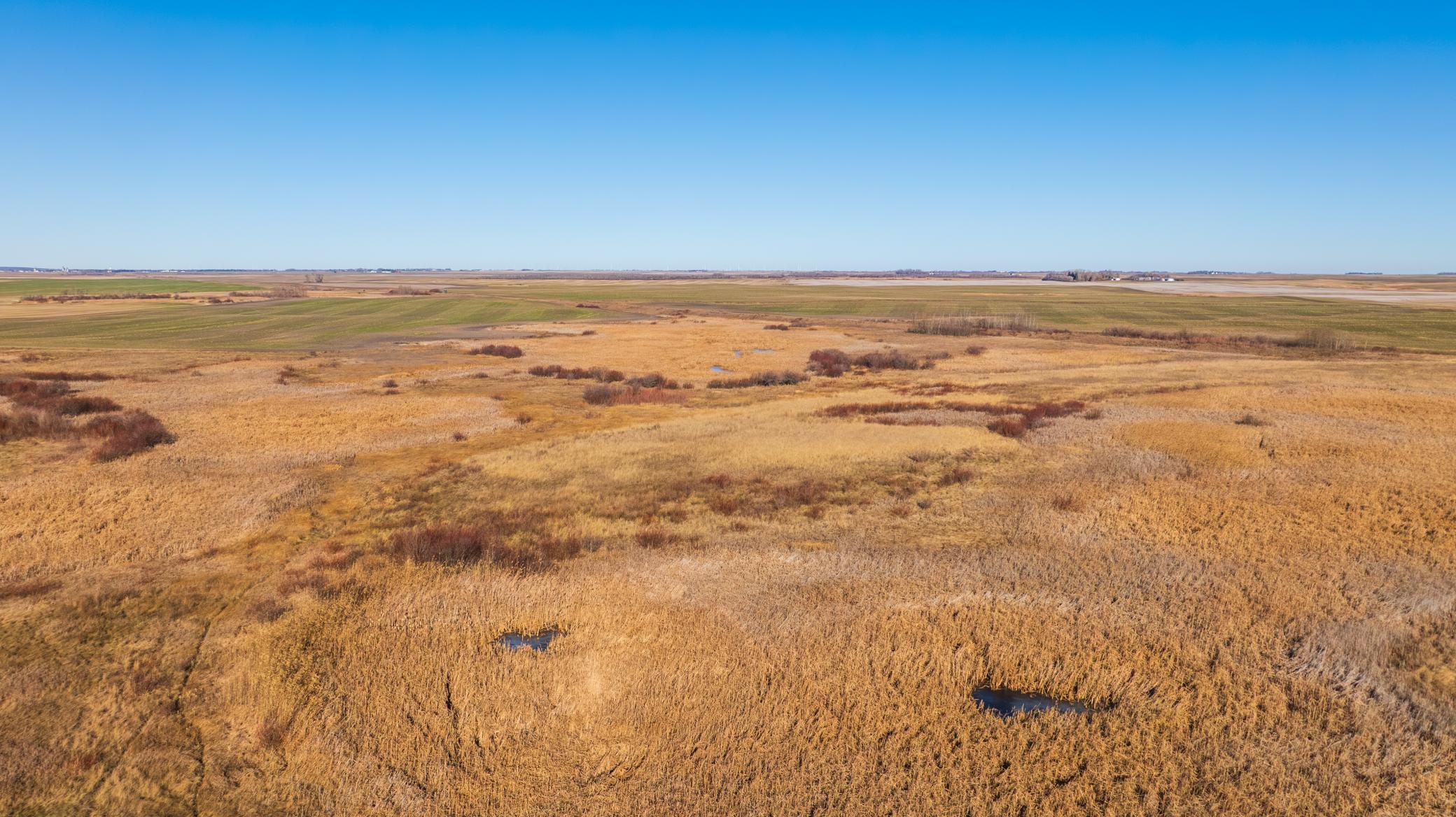 53 1/2 Avenue Perth, ND 58363 - Photo 10 of 16