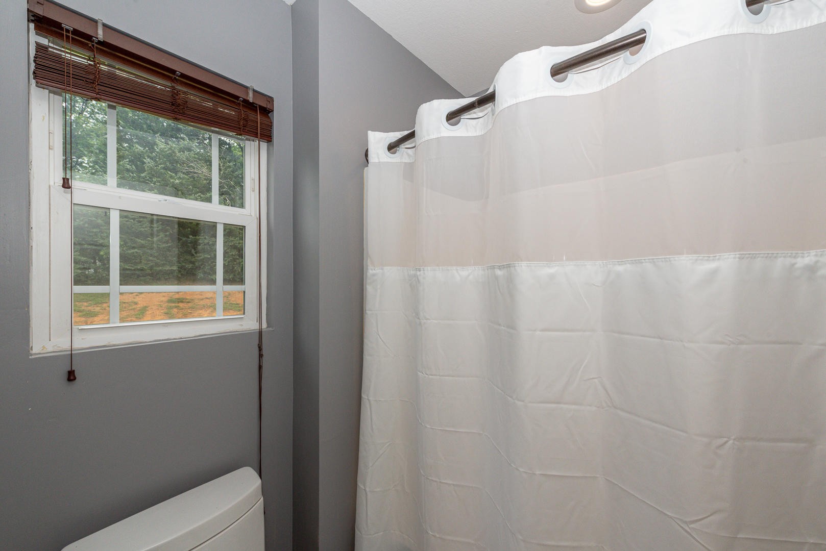 7299 Niles Ferry Road Greenback, TN 37742 - Photo 23 of 38 a bathroom with a shower and a window