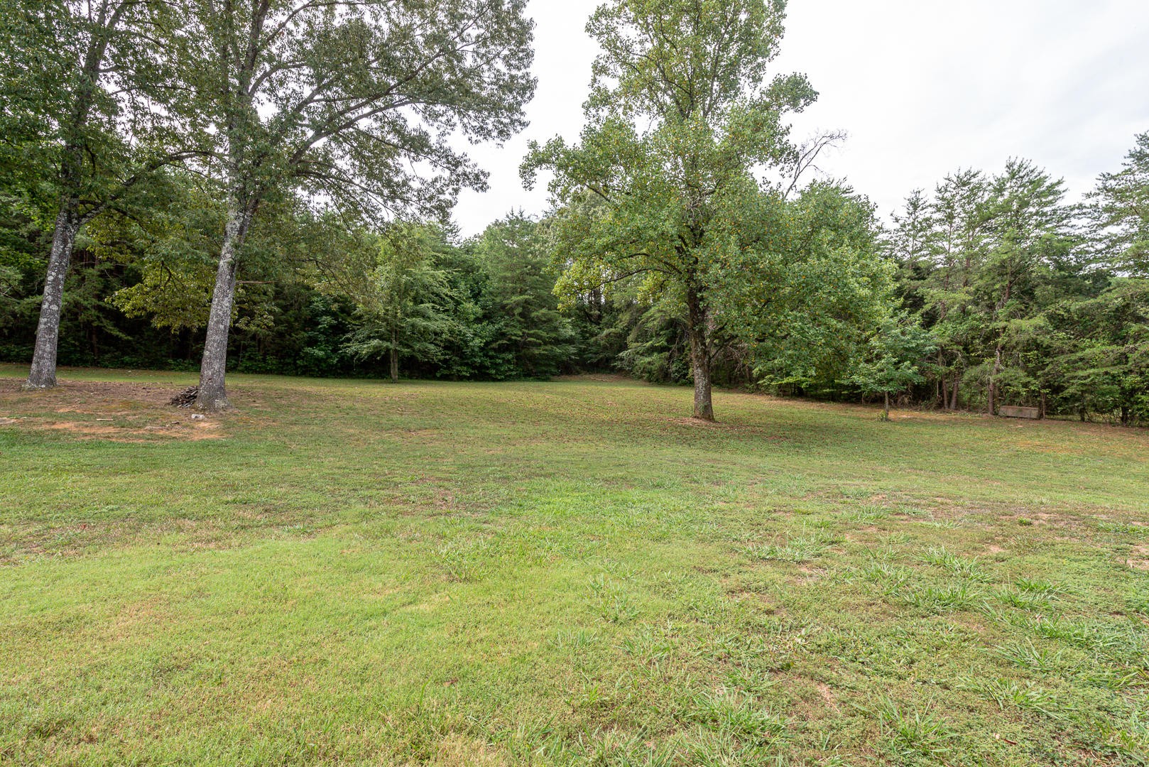 7299 Niles Ferry Road Greenback, TN 37742 - Photo 9 of 38 a view of outdoor space with deck and yard