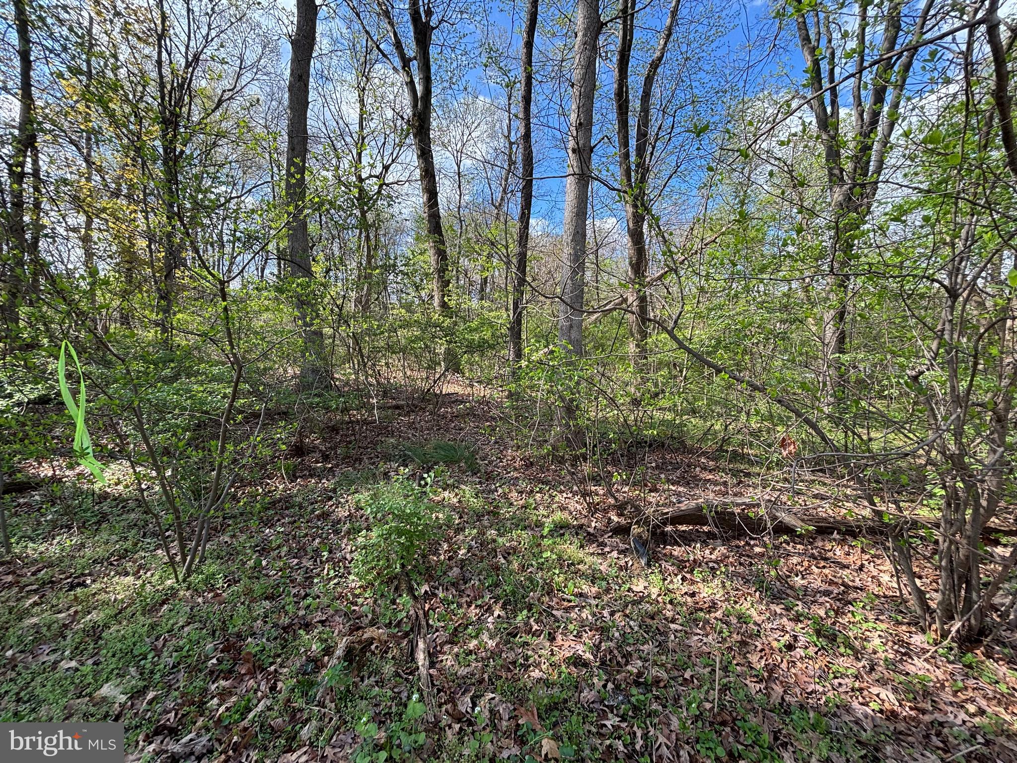 State Street Mertztown, PA 19539 - Photo 2 of 10