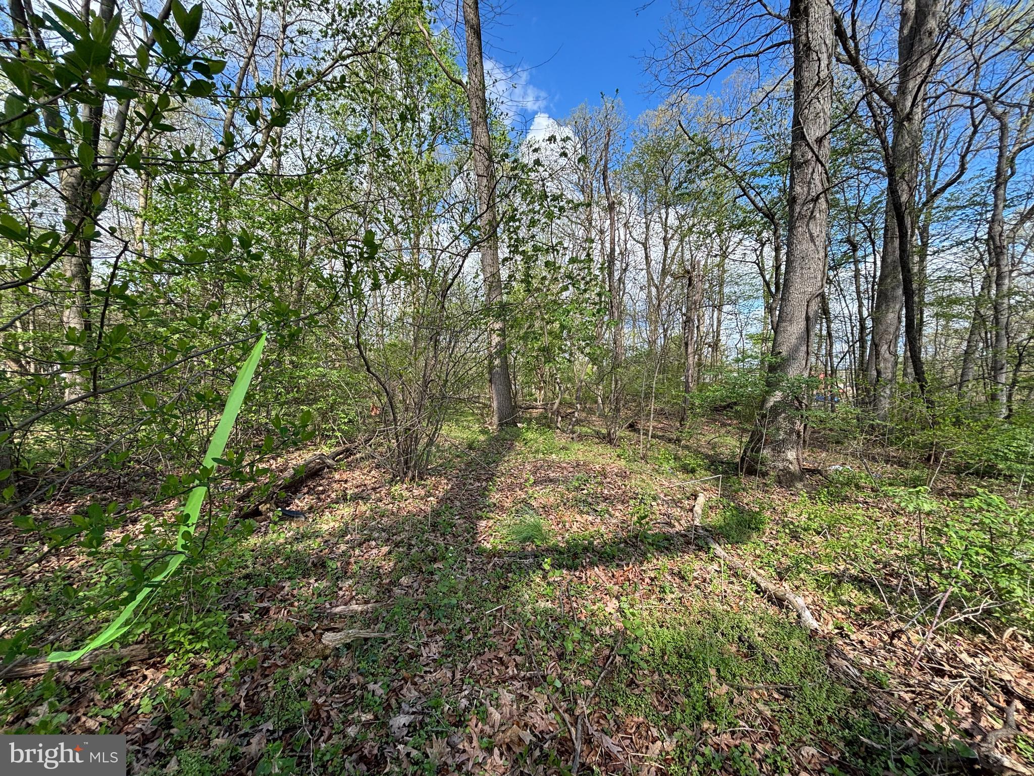 State Street Mertztown, PA 19539 - Photo 3 of 10
