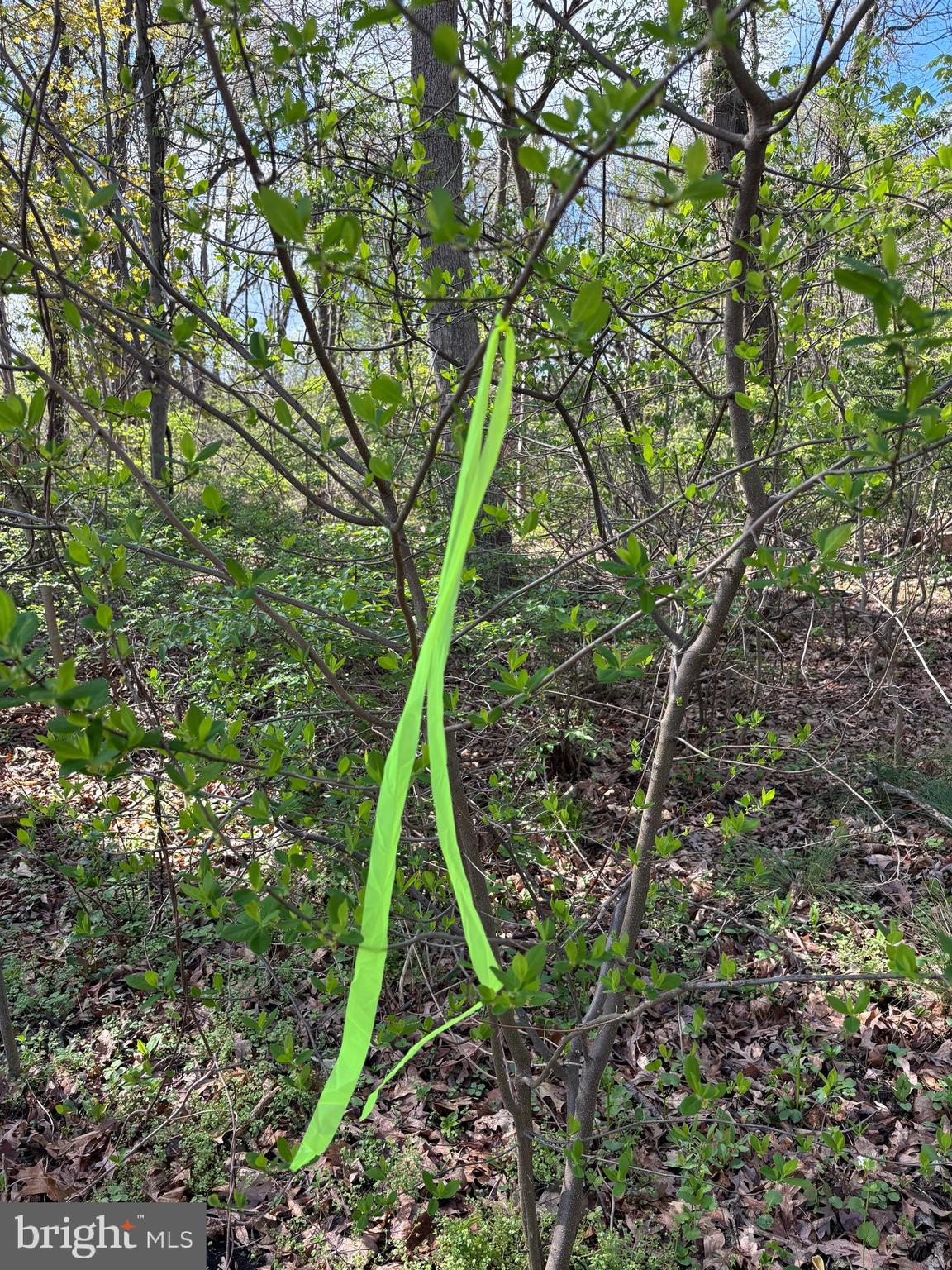 State Street Mertztown, PA 19539 - Photo 4 of 10