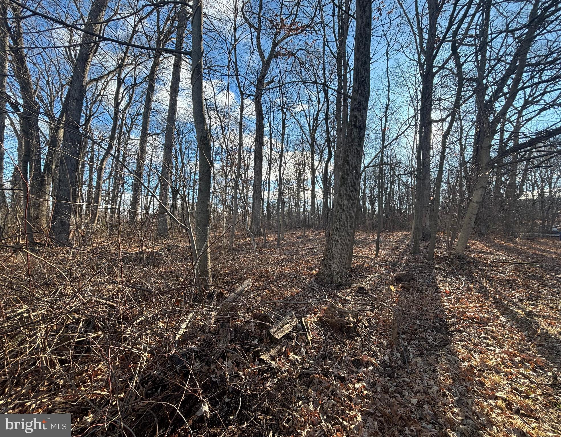 State Street Mertztown, PA 19539 - Photo 5 of 10