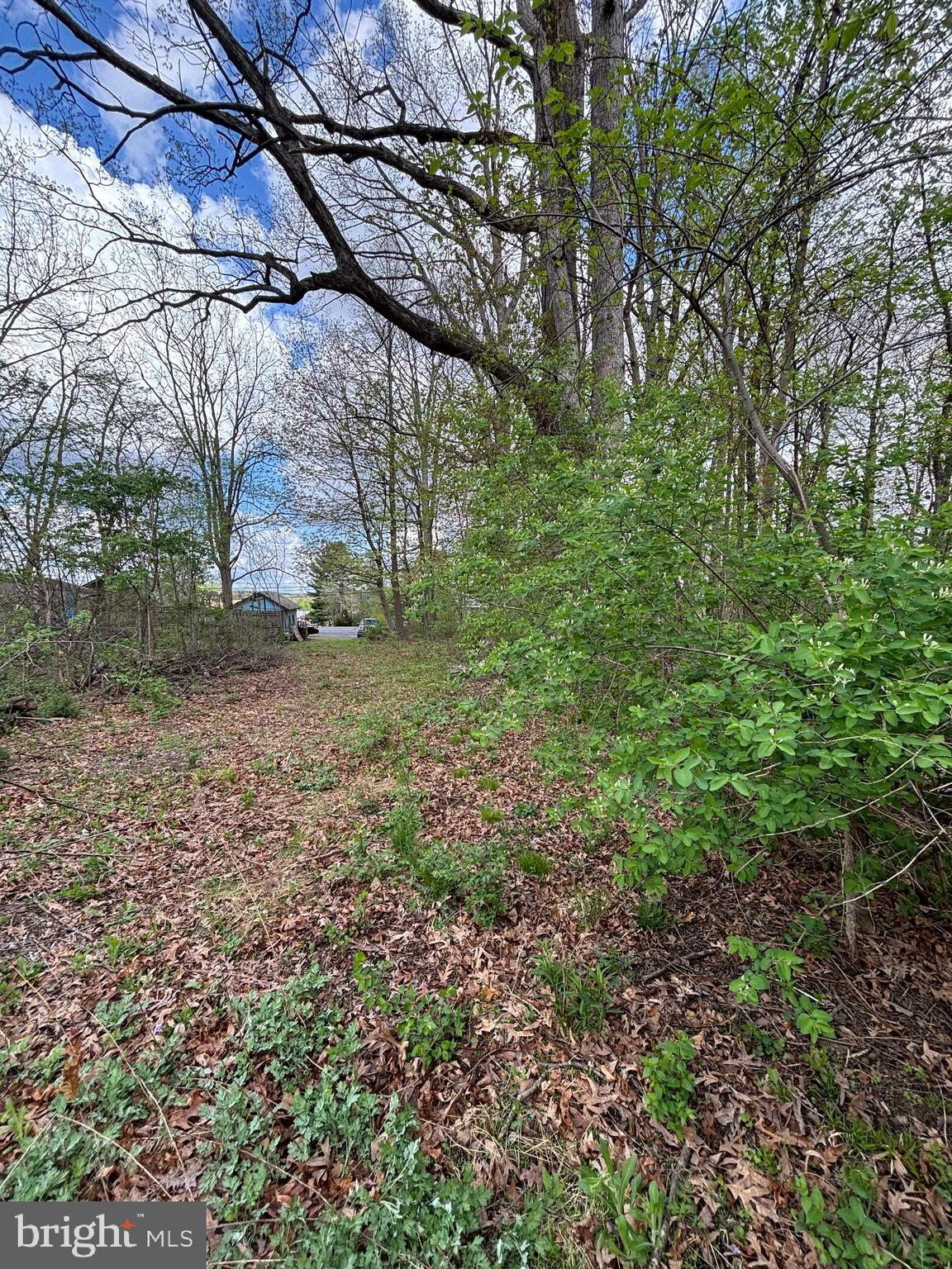 State Street Mertztown, PA 19539 - Photo 6 of 10