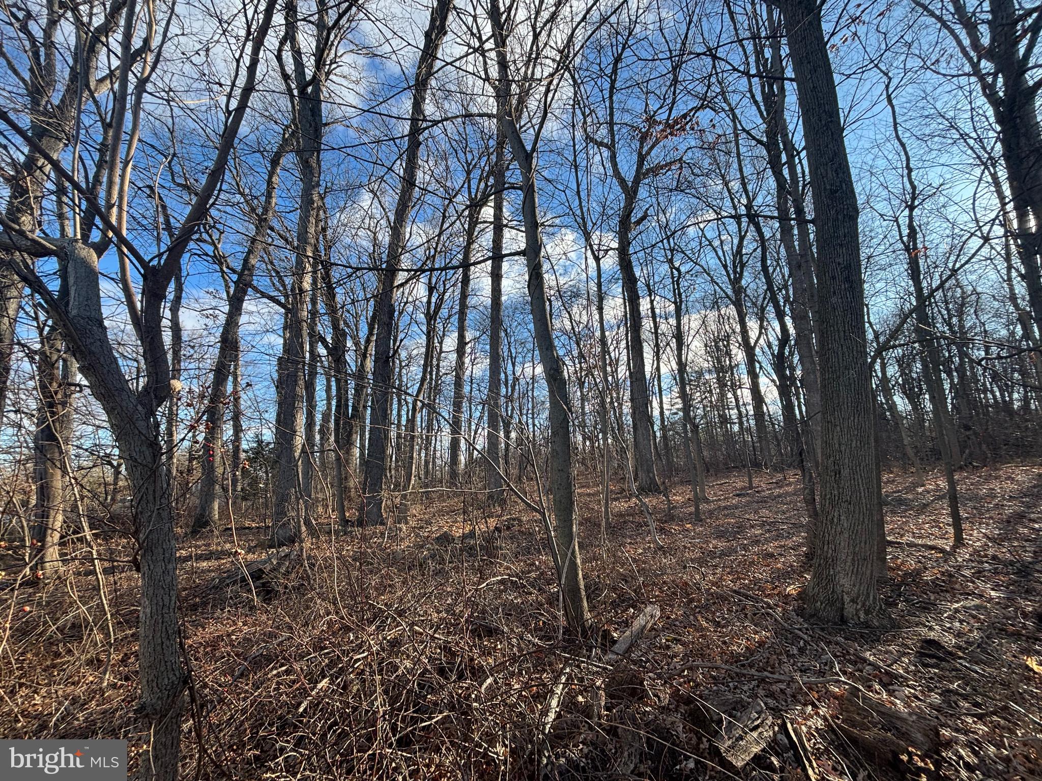 State Street Mertztown, PA 19539 - Photo 7 of 10