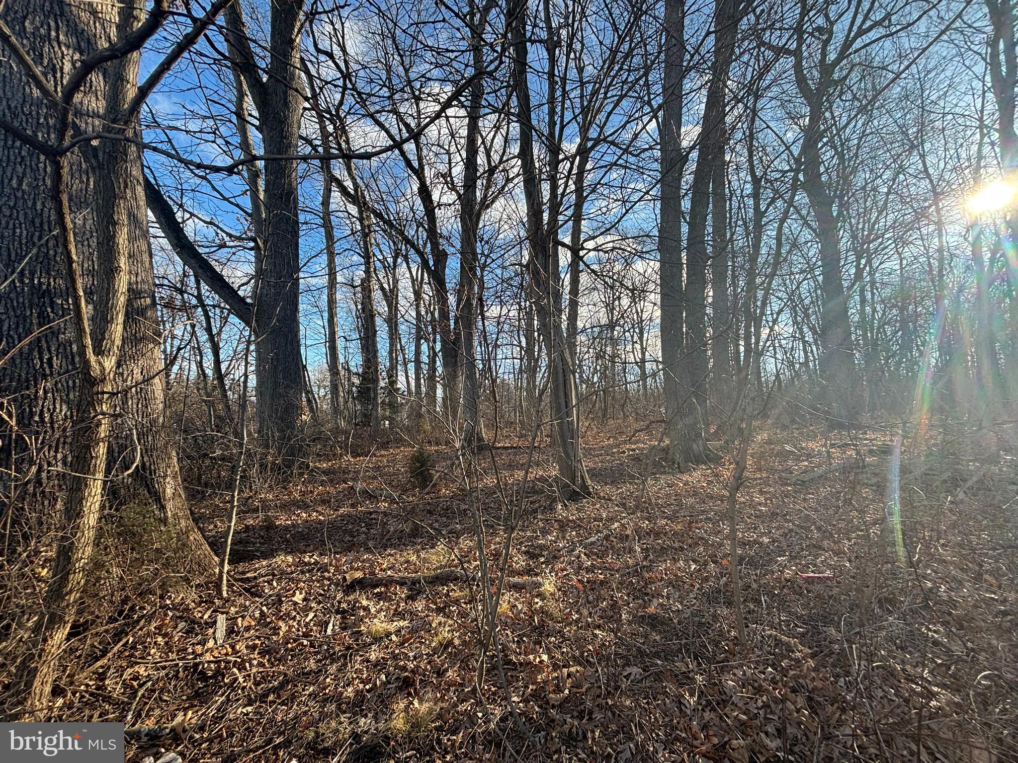 State Street Mertztown, PA 19539 - Photo 8 of 10