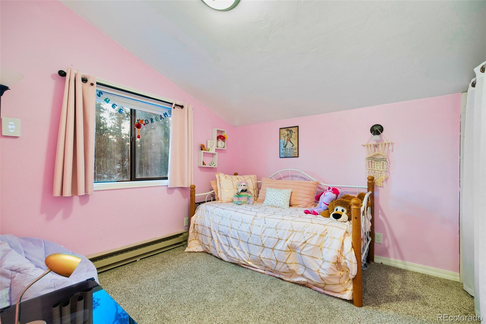 3557 Stagestop Road Jefferson, CO 80456 - Photo 26 of 49 Gallery Image 26