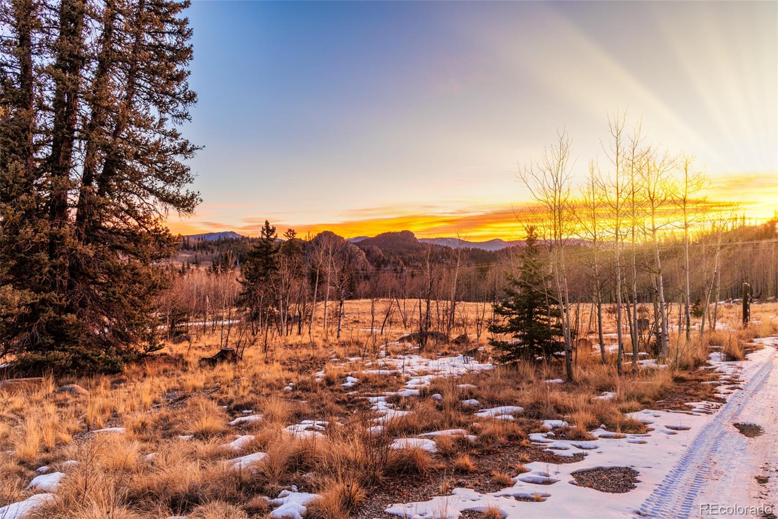 3557 Stagestop Road Jefferson, CO 80456 - Photo 44 of 49 Gallery Image 44