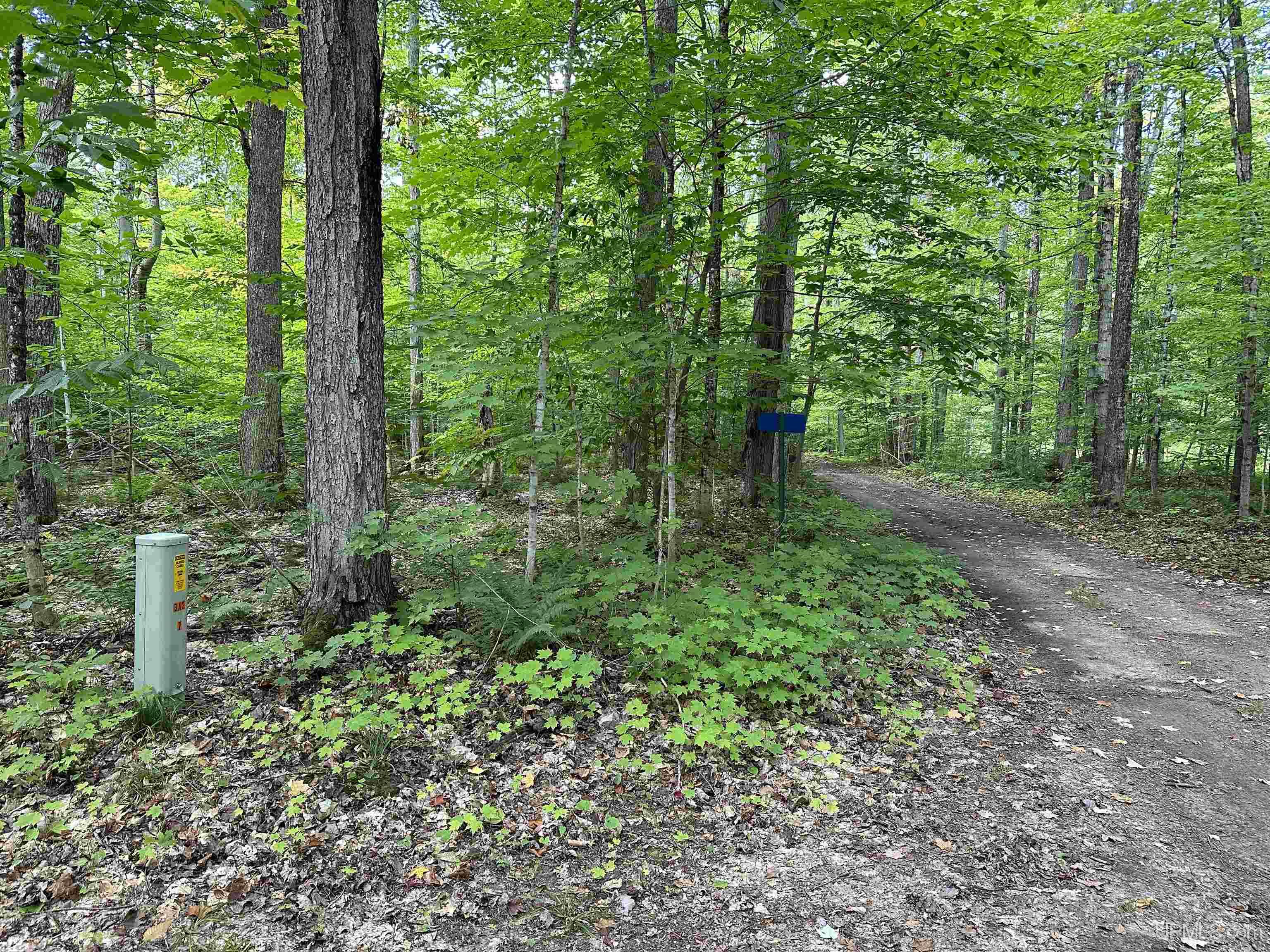 10695 Government Road Manistique, MI 49854 - Photo 24 of 47
